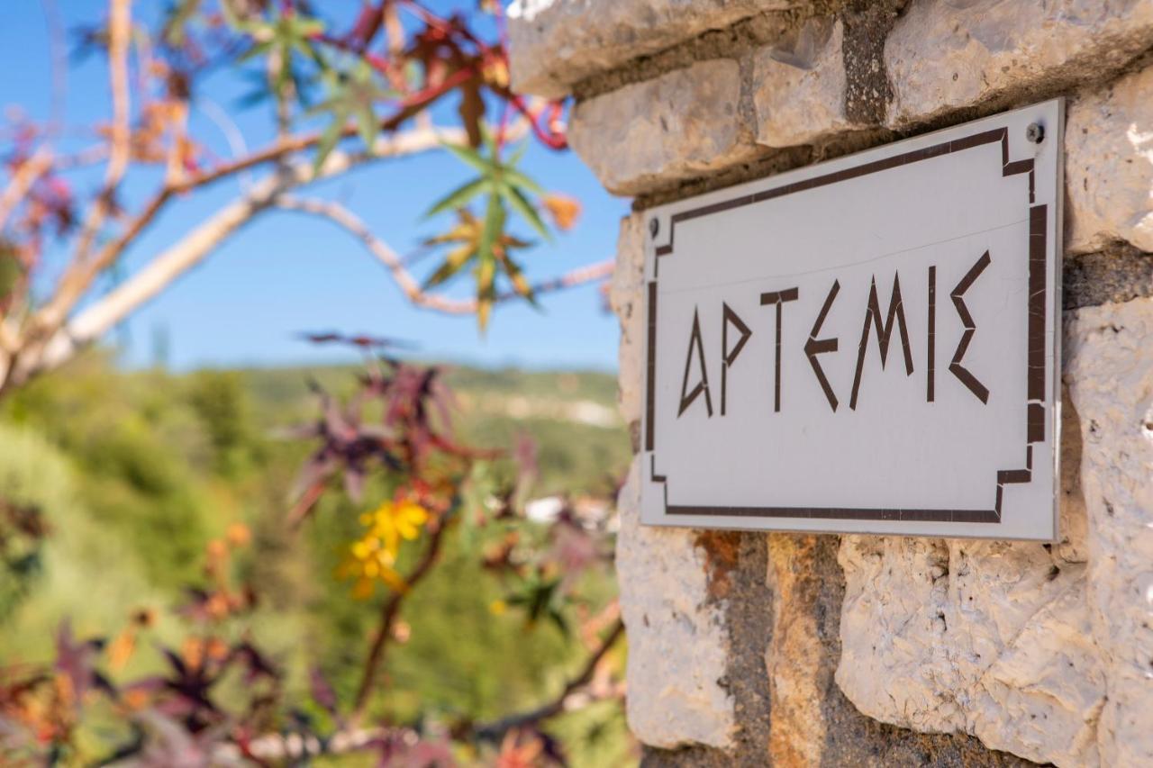 Villa Artemis Nikiana Zewnętrze zdjęcie
